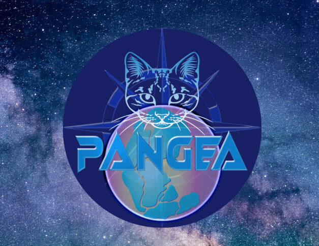 cropped-cropped-Pangea-Grid-Logo-2.jpg