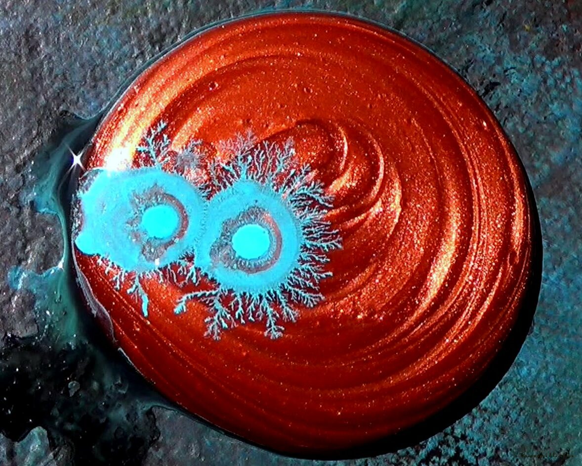 cropped-9.jpg